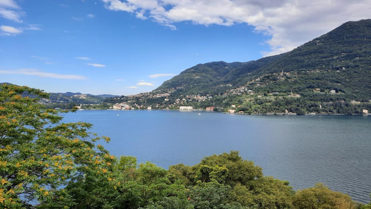 An Armchair On The Lake بْليفيو المظهر الخارجي الصورة