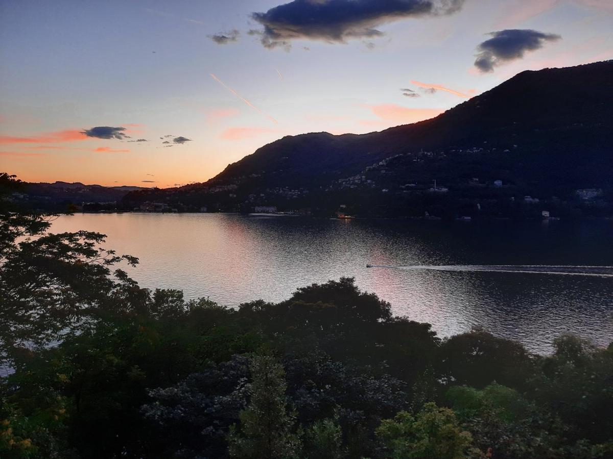 An Armchair On The Lake بْليفيو المظهر الخارجي الصورة